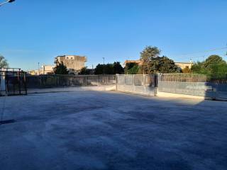 Zona
