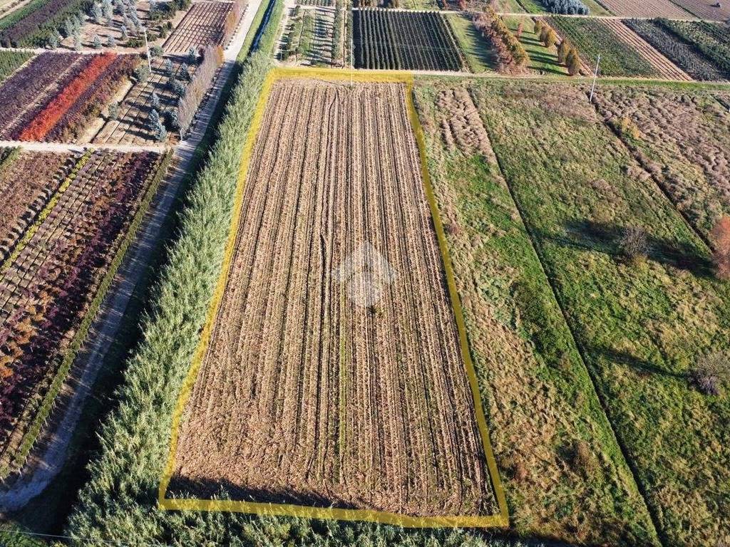 Terreno agricolo terreno agricolo via compietra, montale