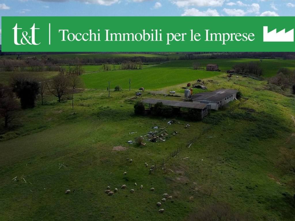Terreno agricolo strada della falconeria 99, acquapendente