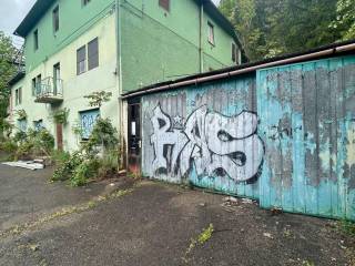 Zona