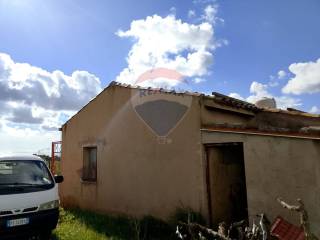 Zona
