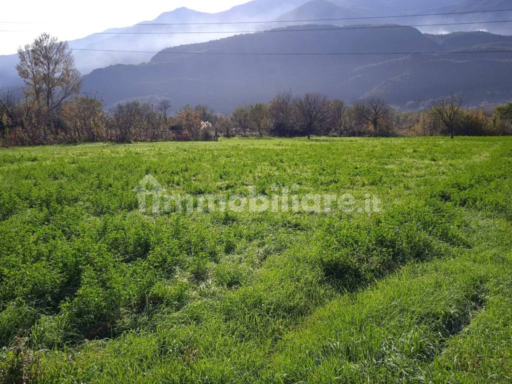 Terreno