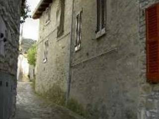 Zona