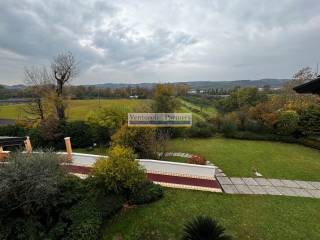 Vista