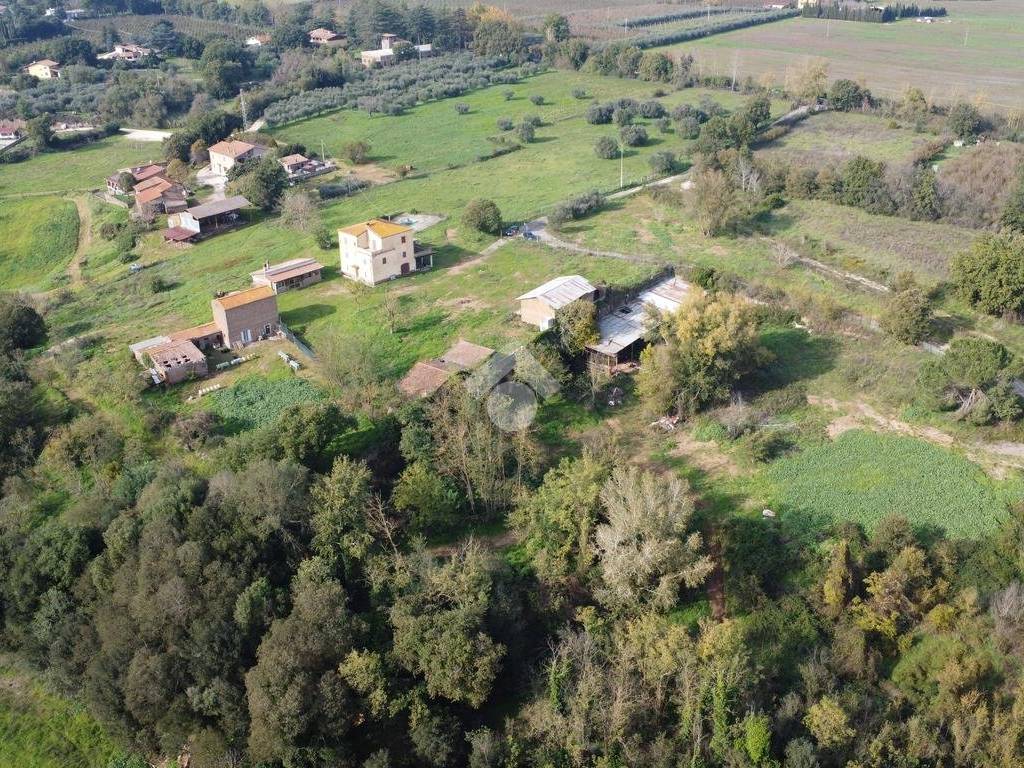 Terreno agricolo via nepesina 39, civita castellana