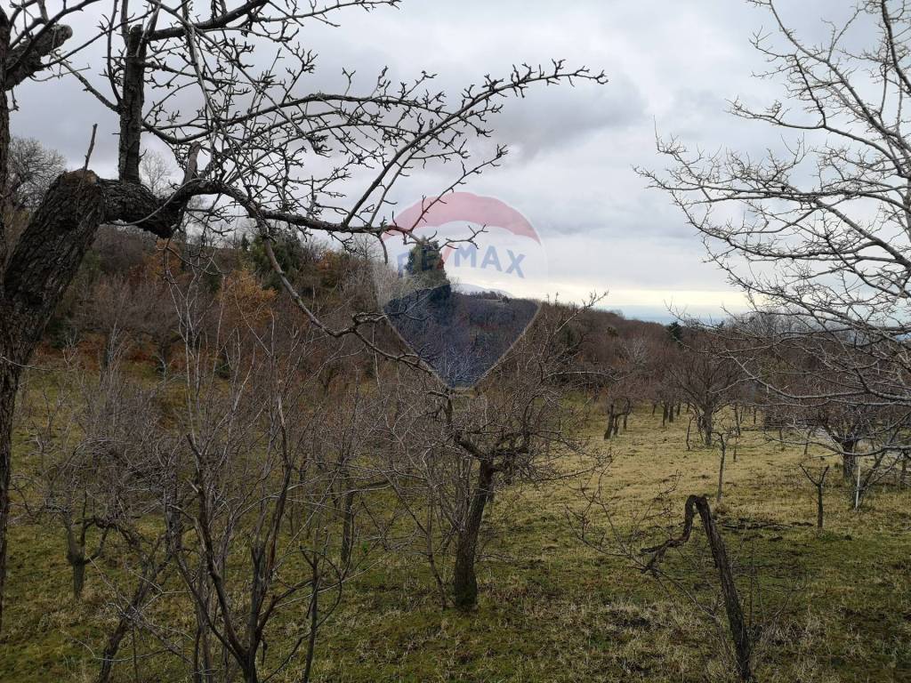 Terreno agricolo contrada stagliata (milia), biancavilla