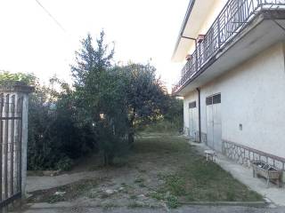 Zona