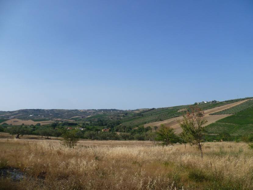 Terreno agricolo contrada villa pasquini, lanciano