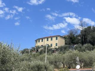 Vista