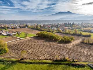 Vista