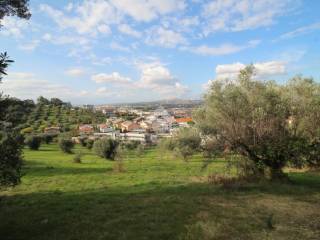 Vista