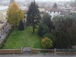 Vista