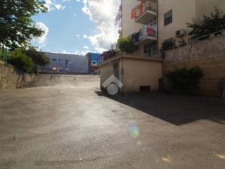 Zona