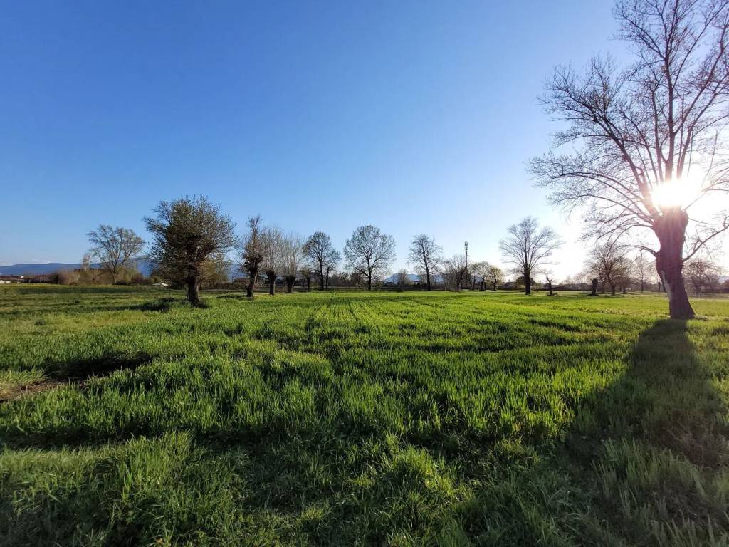 Terreno non edificabile via dei coselli, 16, lammari - lunata, capannori