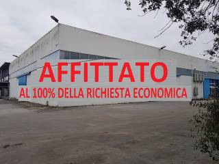 Zona