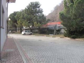 Zona