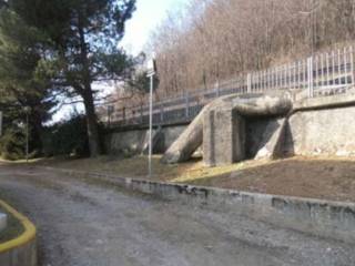 Zona