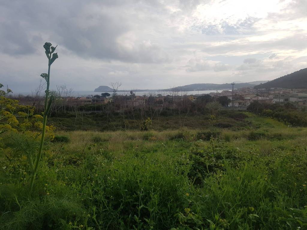 Terreno agricolo via vecchia luciano 7, località toiano, sotto il monte, pozzuoli