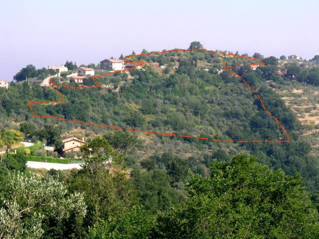 Terreno edificabile viale roma, bettona