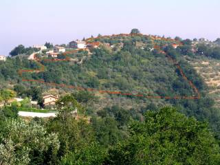 Vista