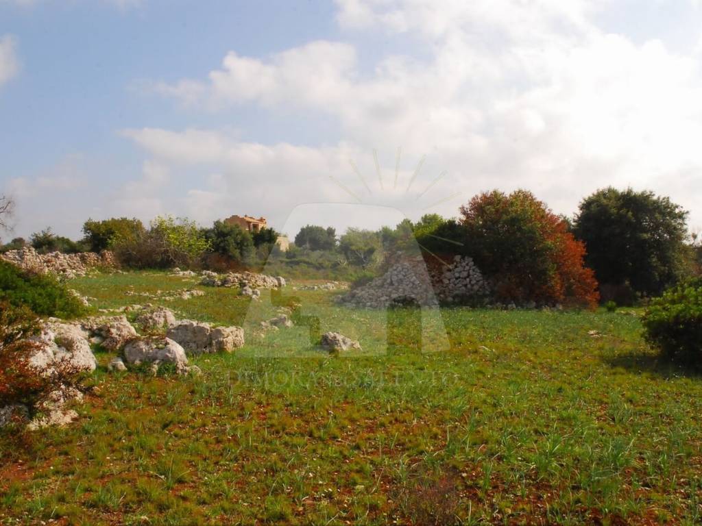 Terreno edificabile strada vicinale cucuruzzi, salve