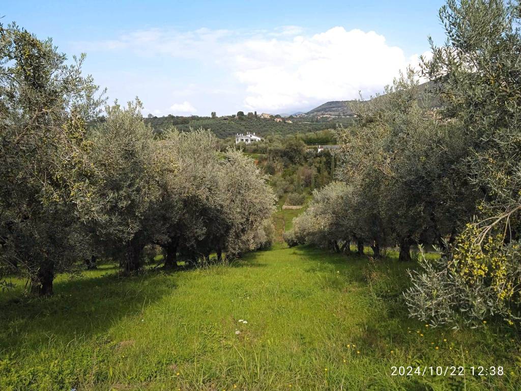 Terreno agricolo via farense 254, coltodino, fara in sabina