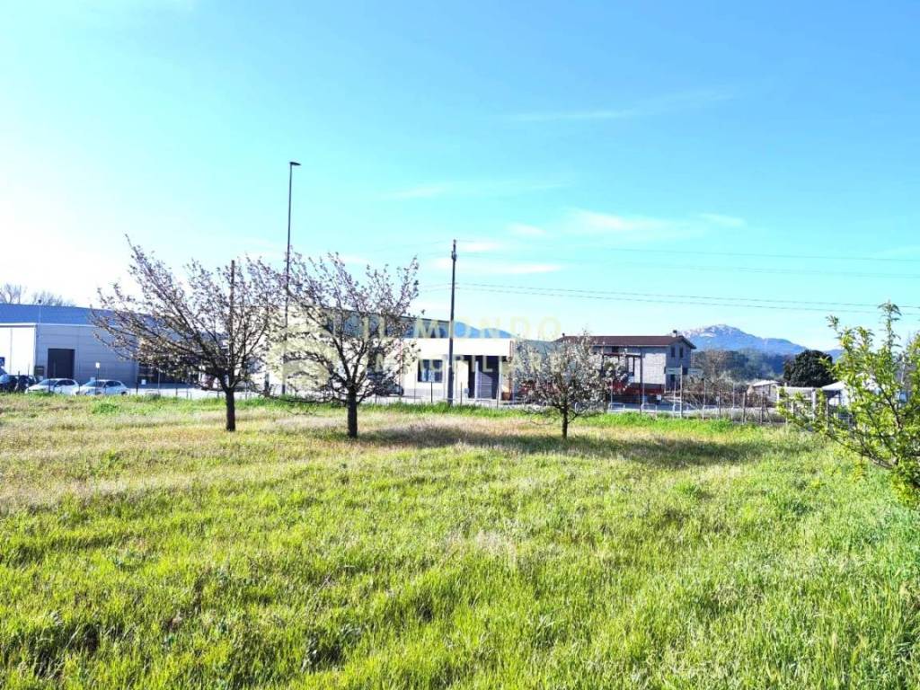 Terreno agricolo strada ponte delle tavole, snc., ponte delle tavole, palombara sabina