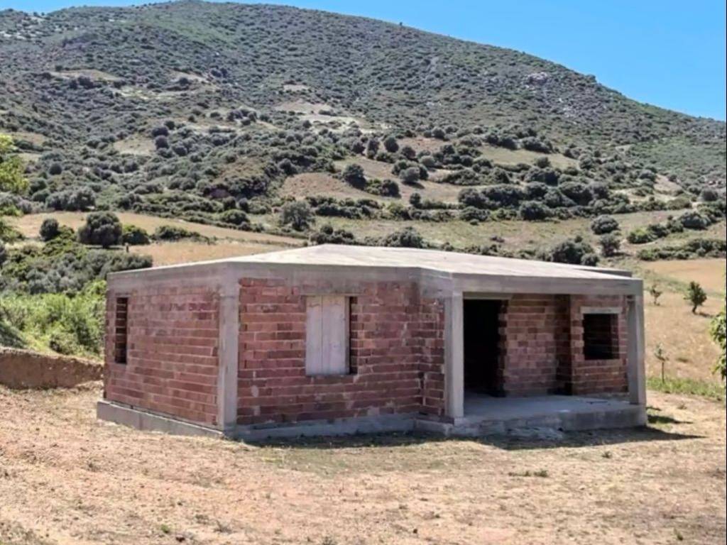 Terreno agricolo località sarrala, tertenia
