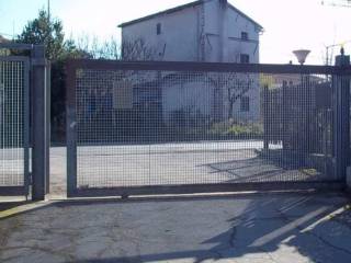 Zona