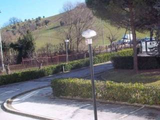 Zona