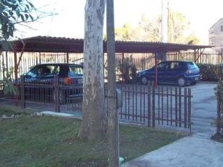 Zona