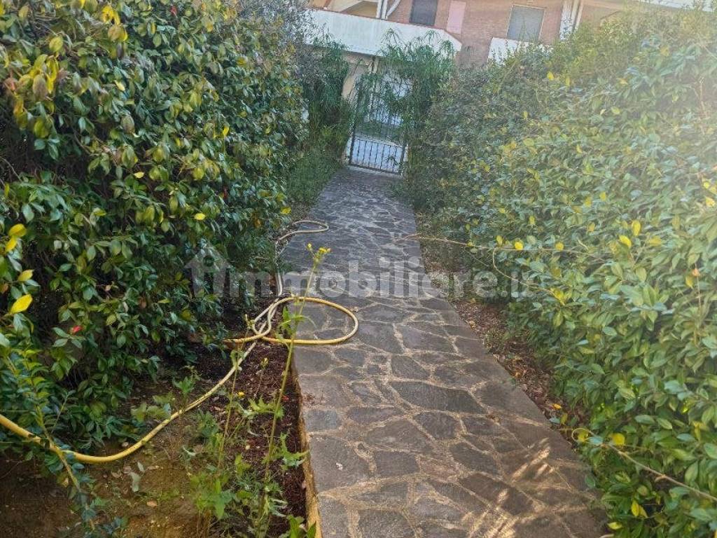 Giardino