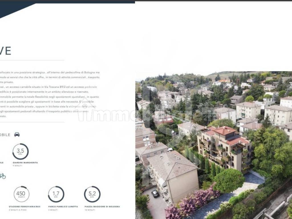 Vista