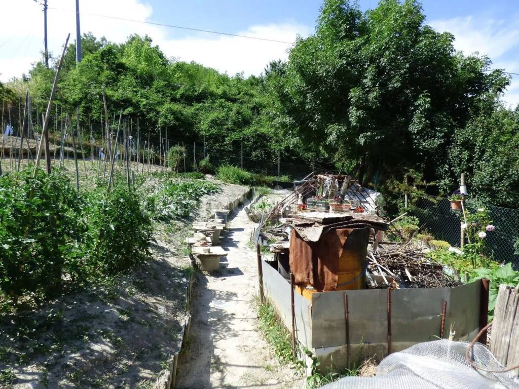 Terreno