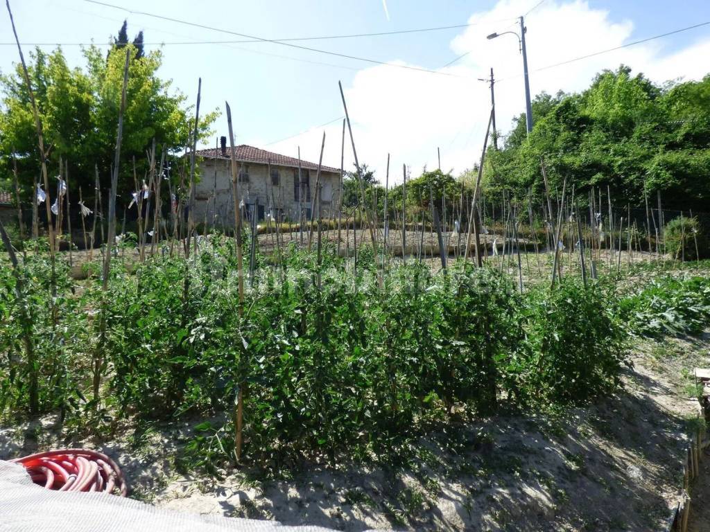 Terreno