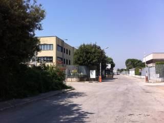 Zona