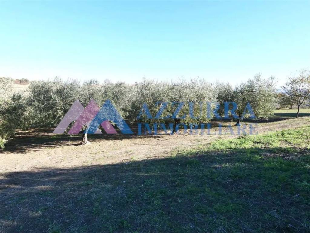 Terreno non edificabile, sant onofrio, sant'antonio, collepizzuto, vasto