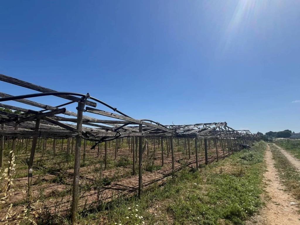 Terreno agricolo contrada passariello, balestrate foce, balestrate