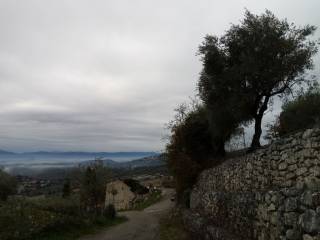 Vista