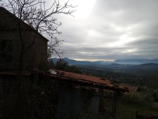 Vista