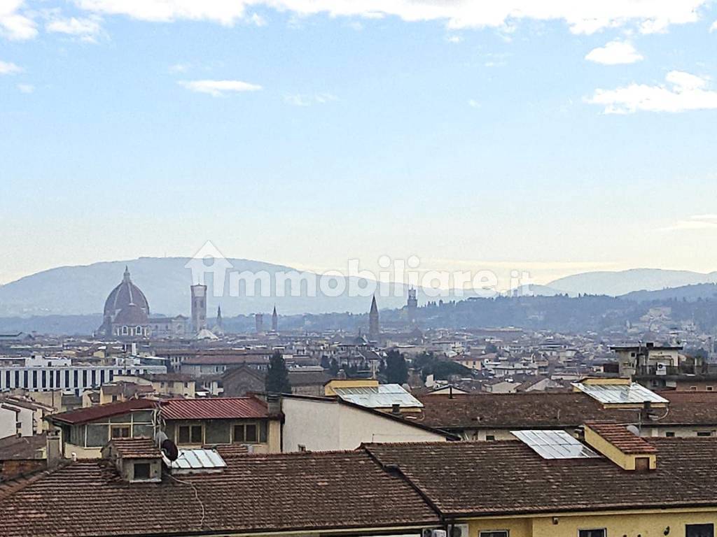 Vista