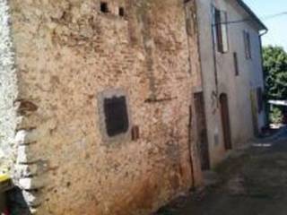 Zona