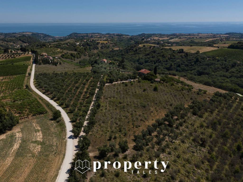 Cornice MDF FRAMO 35mm 43x56 Cm - Vetro Antiriflesso, Quercia Rustico, Per Poster E Foto - Foto 11