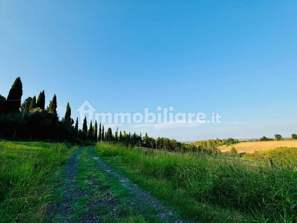 Vista