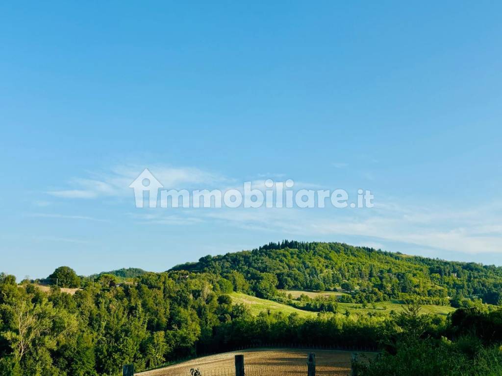 Vista