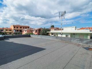 Zona