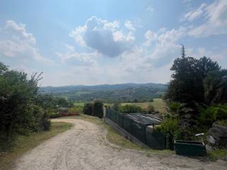 Vista