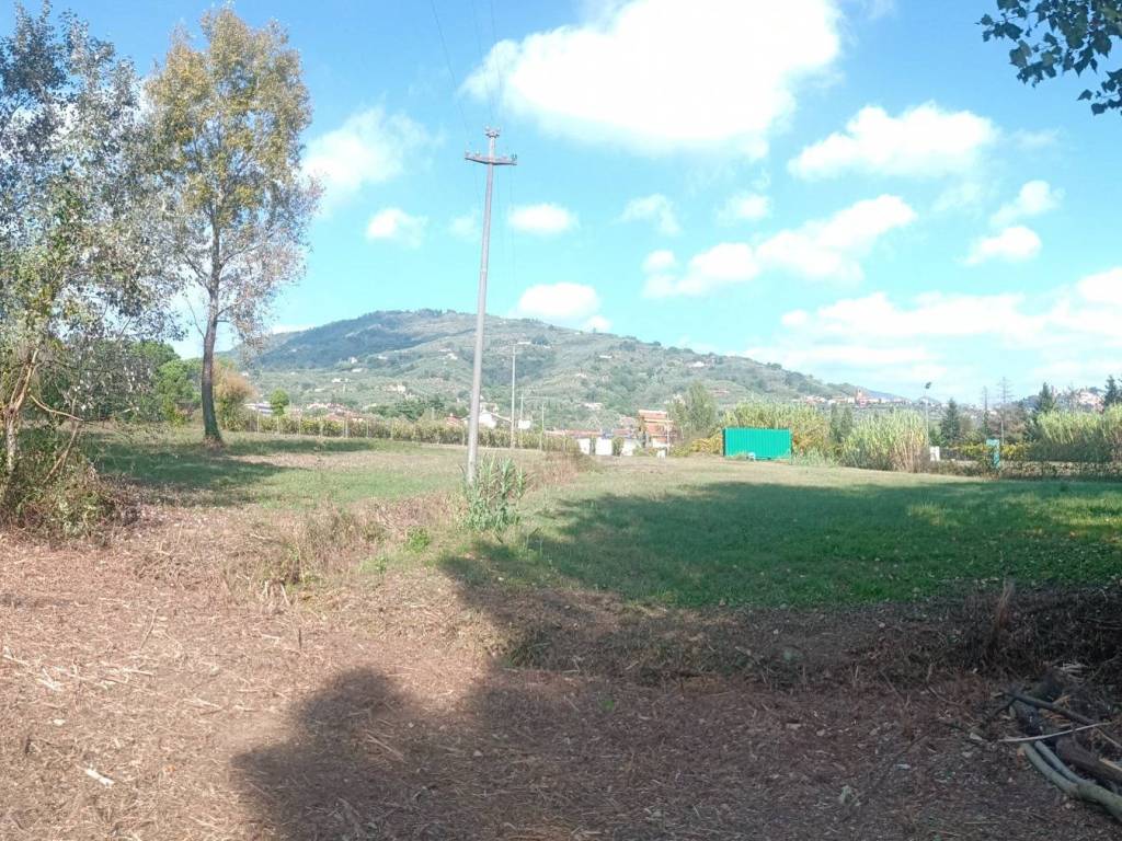 Terreno agricolo via lenzi, uzzano