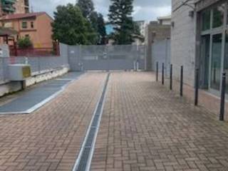 Zona