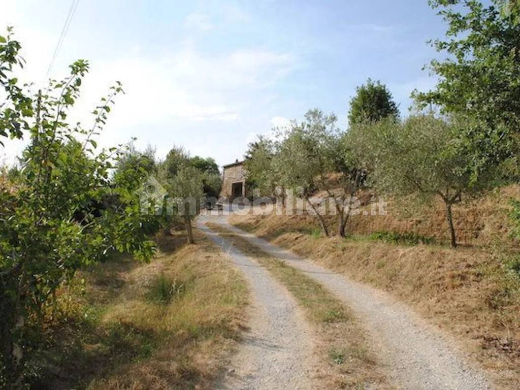 Terreno